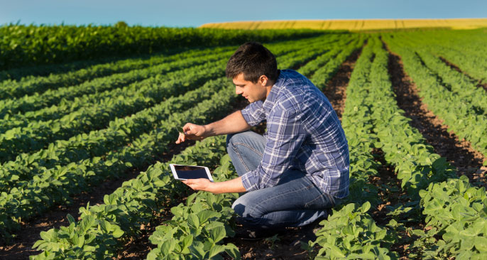 E4 Crop Intelligence agronomy services range from soil testing to farm management