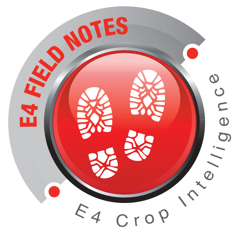Find field inspection notes and information in one convenient place.