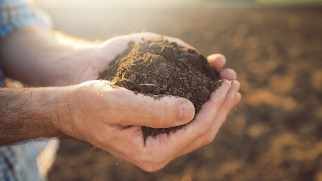 Tips on managing soil in your field